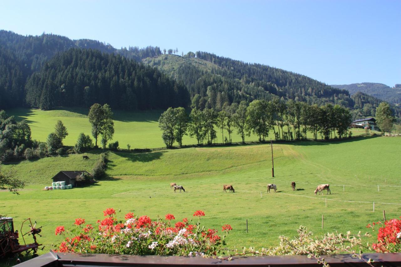 Bauernhof Blonbauer Schladming